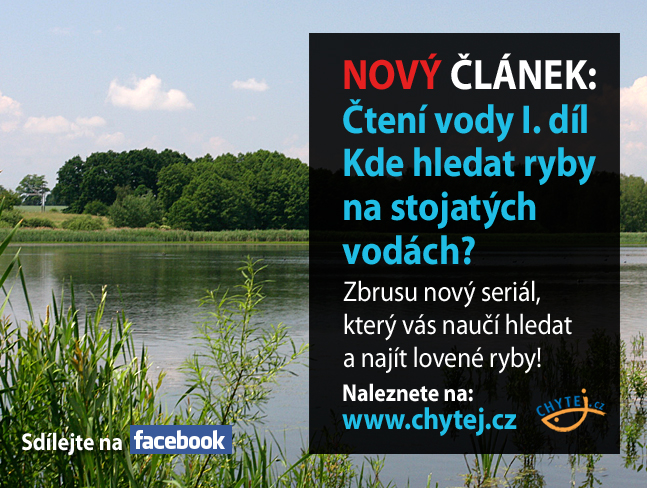 Čtení vody I. díl – Kde hledat ryby na stojatých vodách?