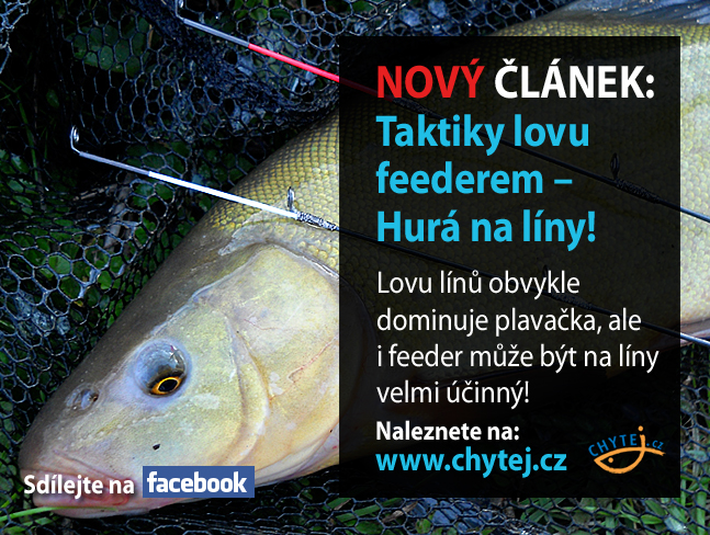 Taktiky lovu feederem – Hurá na líny!