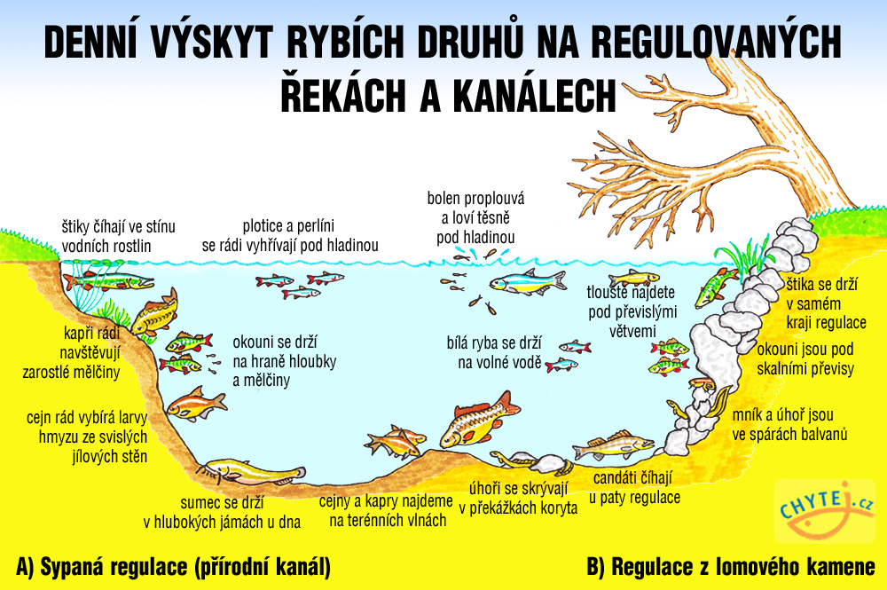 Kde hledat ryby v létě?