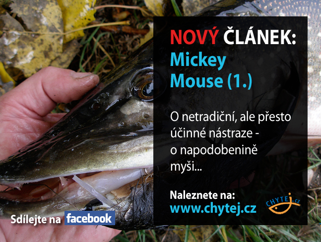 Mickey Mouse u vody (1.díl)