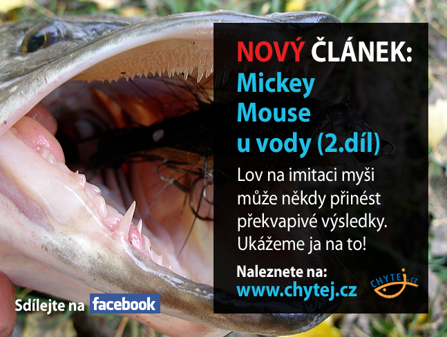 Mickey Mouse u vody (2.díl)