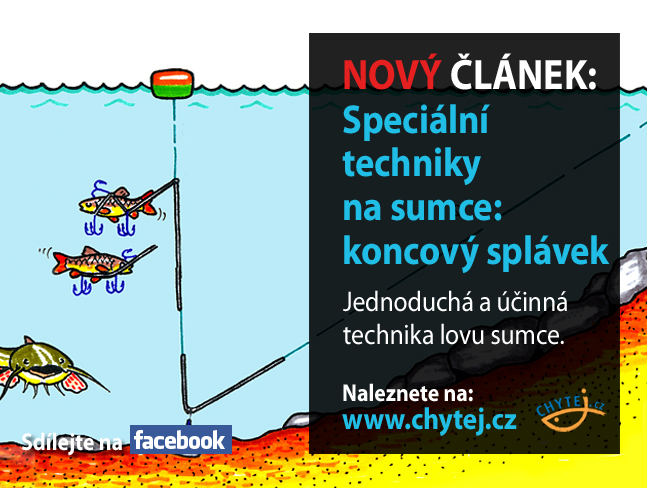 Speciální techniky lovu sumce: koncový splávek