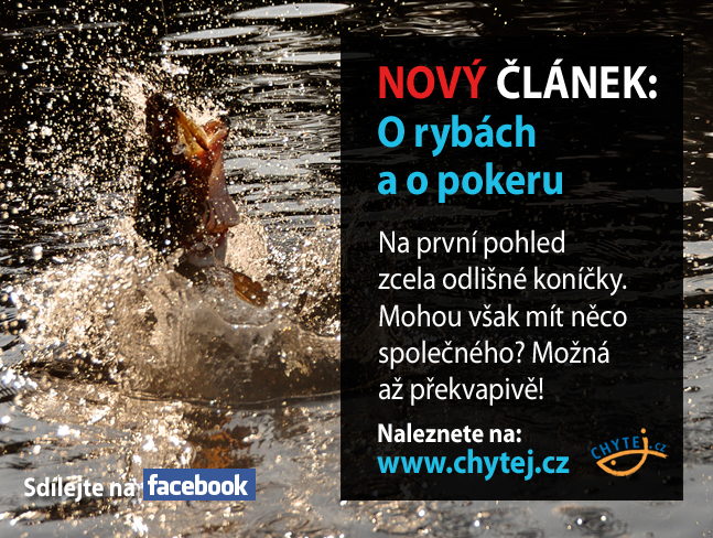 O rybách a o pokeru