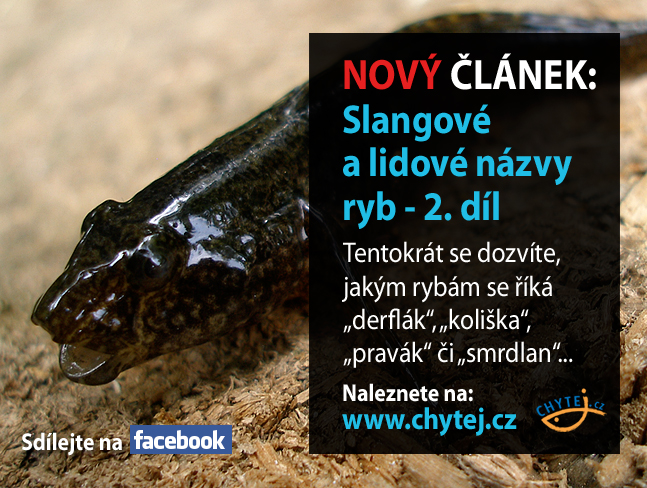 Slangové a lidové názvy ryb - 2. díl