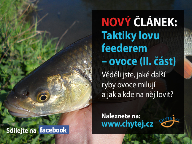 Taktiky lovu feederem – ovoce (II. část)