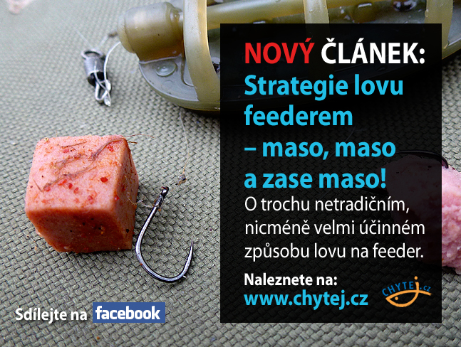 Strategie lovu feederem – maso, maso a zase maso!