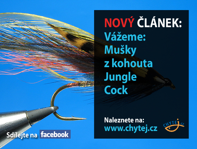 Vážeme: Mušky z kohouta Jungle Cock