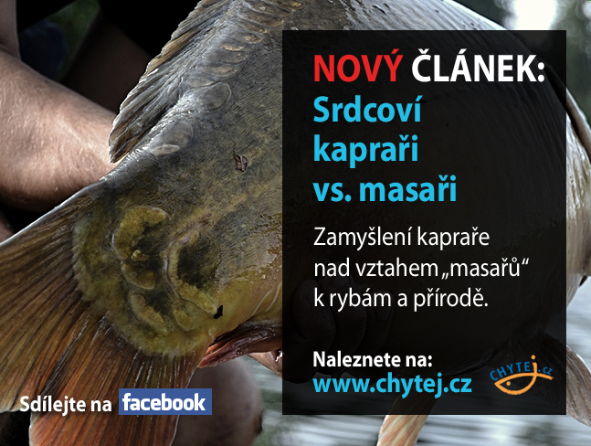 Srdcoví kapraři vs. masaři