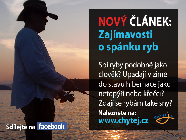 Zajímavosti o spánku ryb