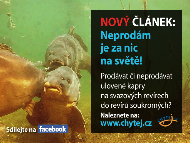 Neprodám je za nic na světě!