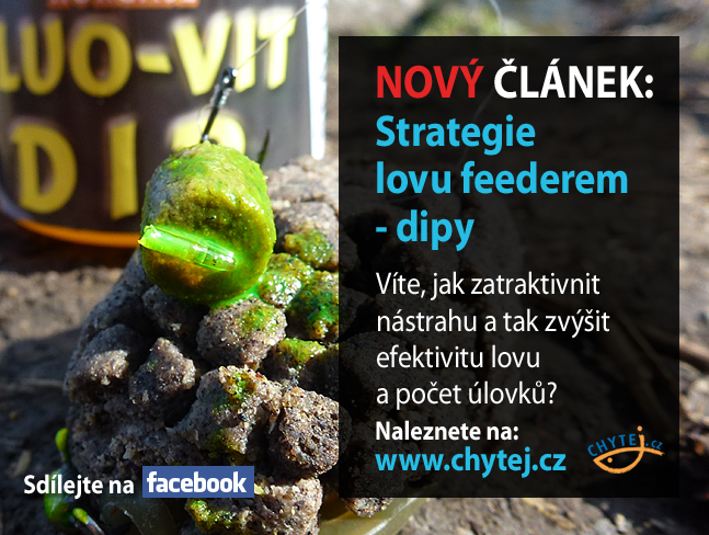 Strategie lovu feederem - dipy