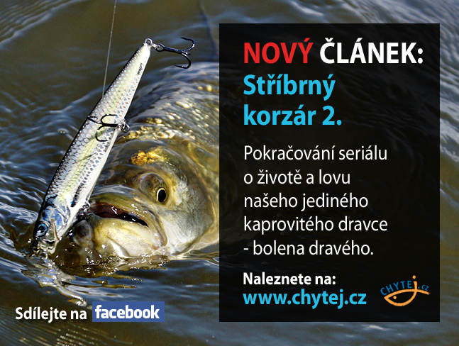 Stříbrný korzár 2.