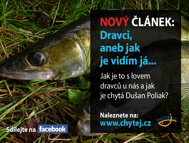 Dravci, aneb jak je vidím já