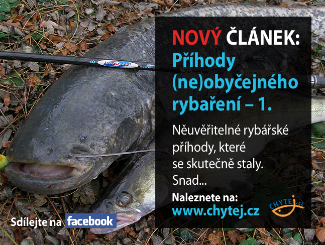 Příhody (ne)obyčejného rybaření – 1.