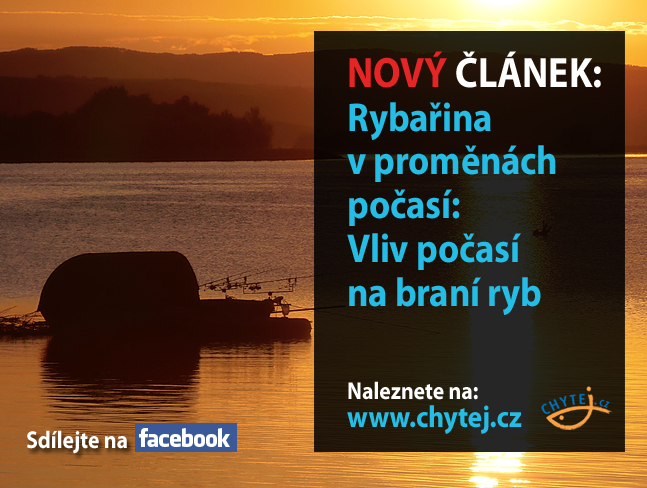 Rybařina v proměnách počasí: Vliv počasí na braní ryb