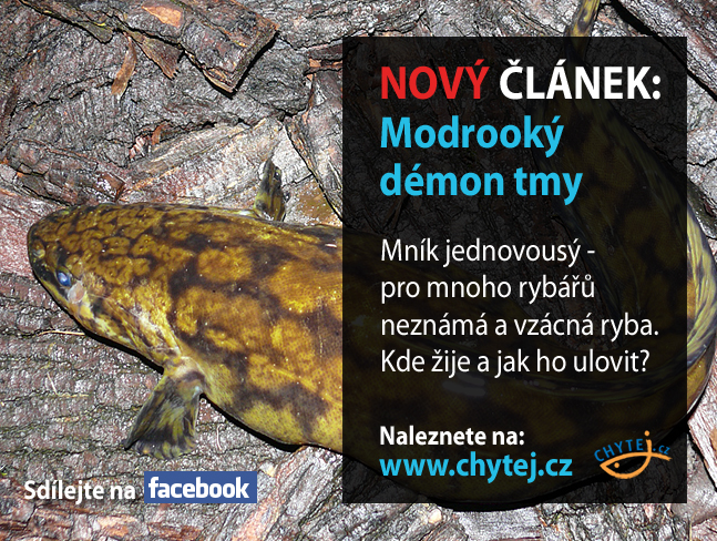 Modrooký démon tmy