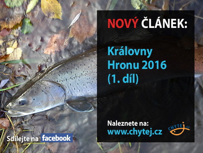 Královny Hronu 2016 (1. díl)