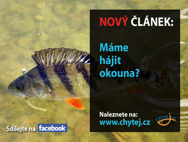 Máme hájit okouna?