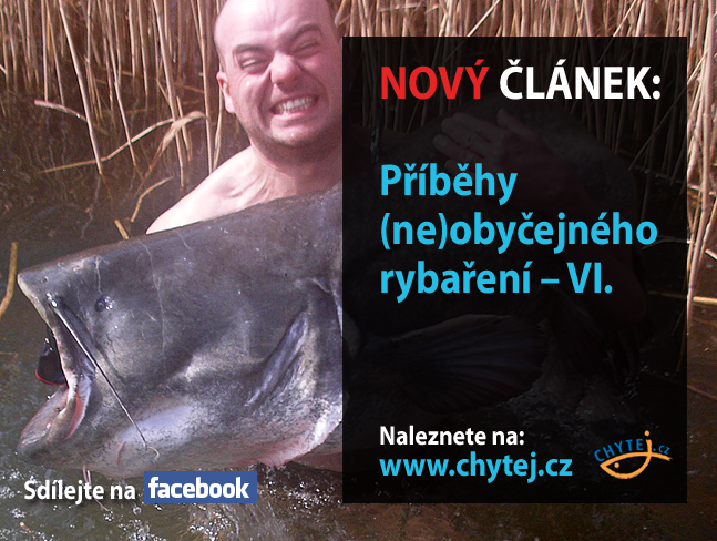 Příběhy (ne)obyčejného rybaření – VI.