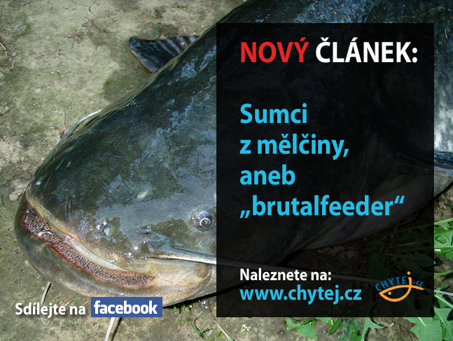 Sumci z mělčiny, aneb „brutalfeeder“