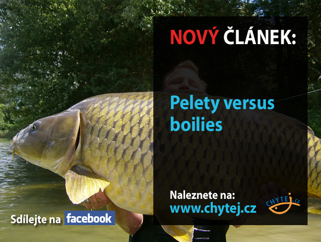 Pelety vs. boilies