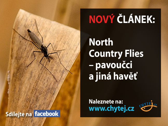 North Country Flies – pavoučci a jiná havěť