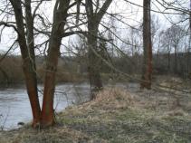 foto/diskuze/ceske_budejovice_a_okoli/2010/th-img32462.jpg