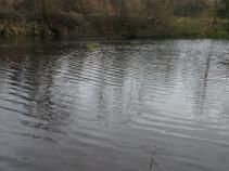 foto/diskuze/ceske_budejovice_a_okoli/2010/th-img39047.jpg
