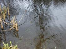 foto/diskuze/ceske_budejovice_a_okoli/2010/th-img39048.jpg