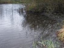 foto/diskuze/ceske_budejovice_a_okoli/2010/th-img39049.jpg