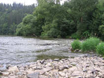 foto/diskuze/ceske_budejovice_a_okoli/2011/th-img43718.jpg
