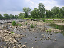 foto/diskuze/ceske_budejovice_a_okoli/2012/th-img49252.jpg