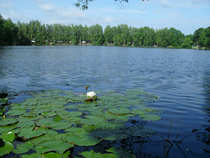 foto/diskuze/ceske_budejovice_a_okoli/2012/th-img49303.jpg