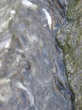 foto/diskuze/ceske_budejovice_a_okoli/2012/th-img49674.jpg
