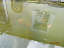 foto/diskuze/damska_jizda/2010/th-img32570.jpg