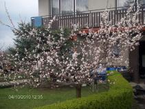 foto/diskuze/damska_jizda/2010/th-img32773.jpg