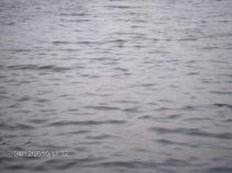 foto/diskuze/damska_jizda/2010/th-img32887.jpg