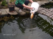 foto/diskuze/damska_jizda/2010/th-img32902.jpg