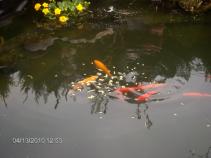 foto/diskuze/damska_jizda/2010/th-img32903.jpg