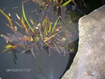 foto/diskuze/damska_jizda/2010/th-img32932.jpg