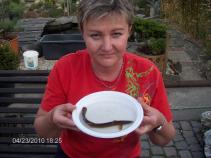 foto/diskuze/damska_jizda/2010/th-img33311.jpg