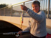 foto/diskuze/damska_jizda/2010/th-img33386.jpg