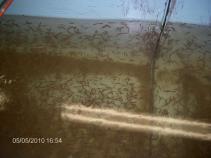 foto/diskuze/damska_jizda/2010/th-img33775.jpg