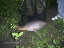foto/diskuze/damska_jizda/2010/th-img34420.jpg