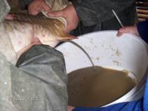 foto/diskuze/damska_jizda/2010/th-img34434.jpg