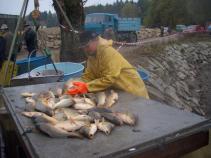 foto/diskuze/damska_jizda/2010/th-img38404.jpg