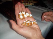 foto/diskuze/damska_jizda/2010/th-img38948.jpg