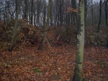 foto/diskuze/damska_jizda/2010/th-img39061.jpg