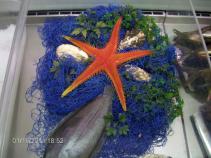foto/diskuze/damska_jizda/2011/th-img40344.jpg
