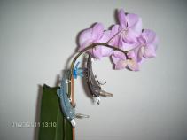 foto/diskuze/damska_jizda/2011/th-img40429.jpg